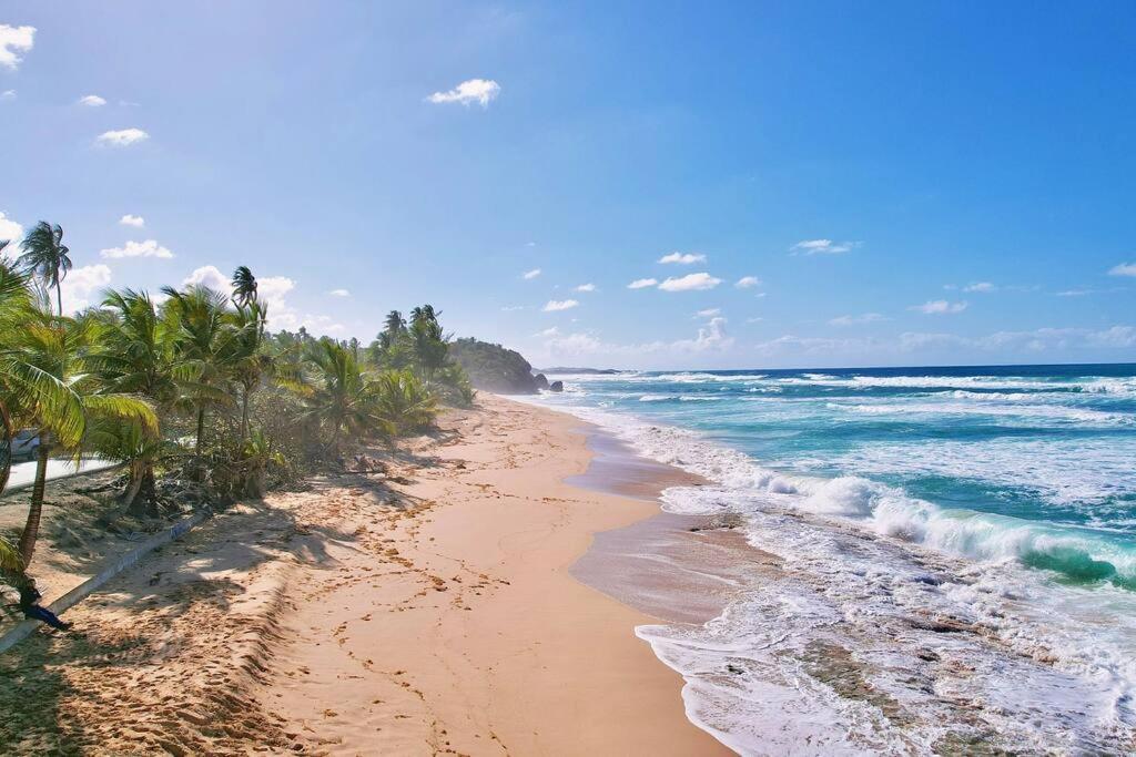 Family & Friends - Beach, Bbq, Private Pool & Pet Vega Baja Ngoại thất bức ảnh